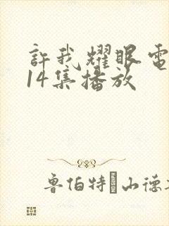 许我耀眼电视剧14集播放