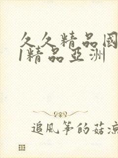 久久精品国产91精品亚洲