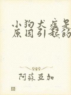 小狗犬瘟是什么原因引起的