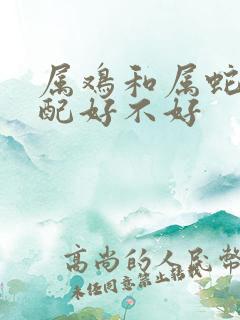 属鸡和属蛇的婚配好不好