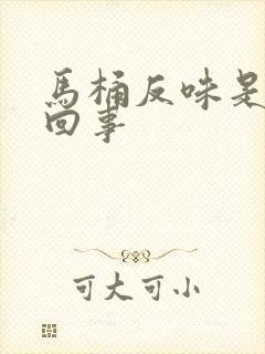 马桶反味是怎么回事