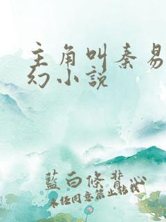 主角叫秦易的玄幻小说