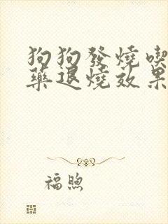 狗狗发烧吃什么药退烧效果最好