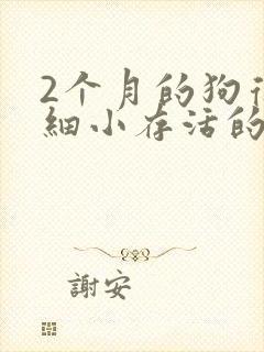 2个月的狗得犬细小存活的几率