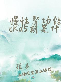 慢性肾功能不全ckd5期是什么意思