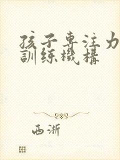 孩子专注力专业训练机构