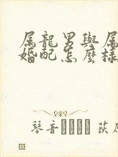 属龙男与属猴女婚配怎么样