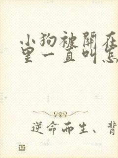 小狗被关在笼子里一直叫怎么办