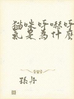 猫咪呼哧呼哧喘气是为什么