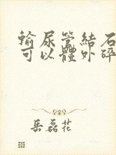 输尿管结石下段可以体外碎石