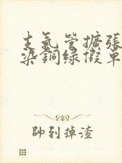 支气管扩张伴感染铜绿假单胞菌