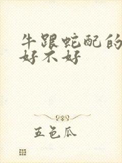 牛跟蛇配的婚姻好不好