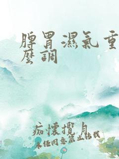 脾胃湿气重要怎么调