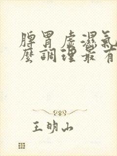 脾胃虚湿气重怎么调理最有效