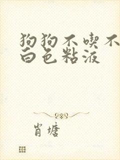 狗狗不吃不喝吐白色粘液