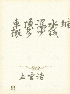 车顶漏水维修大概多少钱