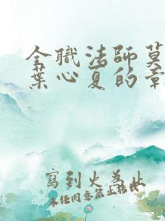 全职法师莫凡和叶心夏的章节