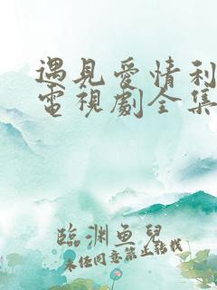 遇见爱情利先生电视剧全集免费