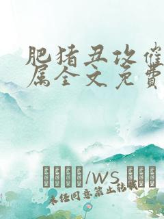 肥猪丑攻催眠下属全文免费阅读