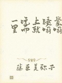 一晚上睡觉耳朵里面就嗡嗡响