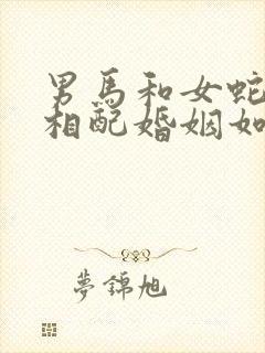 男马和女蛇属相相配婚姻如何