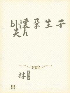 bl怀孕生子孕夫h