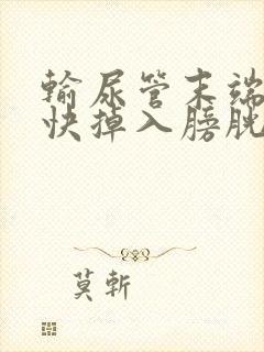 输尿管末端结石快掉入膀胱的前兆