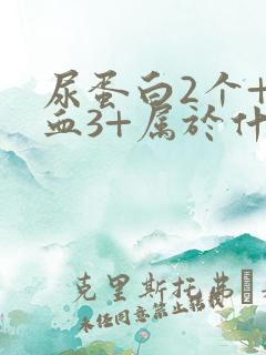 尿蛋白2个+隐血3+属于什么病