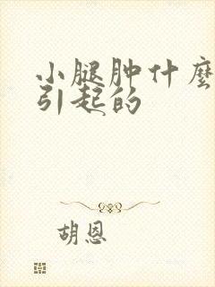 小腿肿什么原因引起的