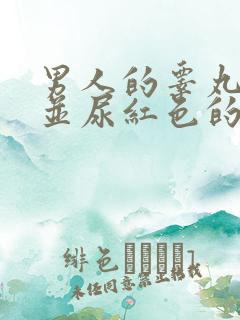 男人的睾丸疼痛并尿红色的尿