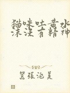 猫咪吐黄水有泡沫没有精神不吃东西