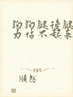 狗狗腿后腿瘸无力站不起来怎么办