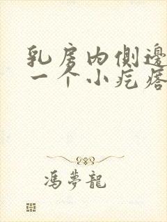 乳房内侧边缘有一个小疙瘩,按着疼