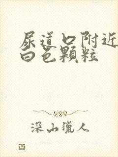 尿道口附近长了白色颗粒