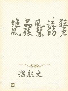 绝品风流狂医林风张慧的免费阅读