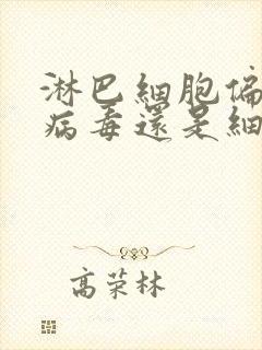 淋巴细胞偏低是病毒还是细菌感染