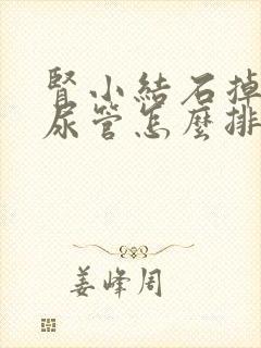 肾小结石掉到输尿管怎么排出来