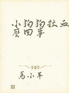 小狗狗拉血是怎么回事