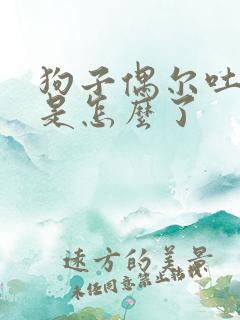 狗子偶尔吐黄水是怎么了