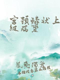 宫颈鳞状上皮高级病变