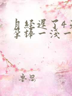 月经迟了4天验孕棒一浅一深