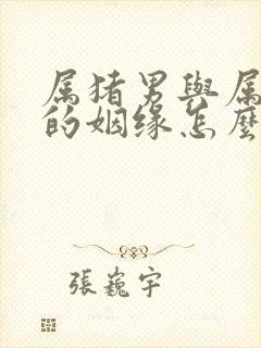 属猪男与属狗女的姻缘怎么样