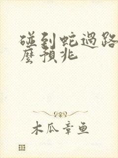 碰到蛇过路有什么预兆