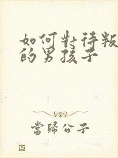 如何对待叛逆期的男孩子