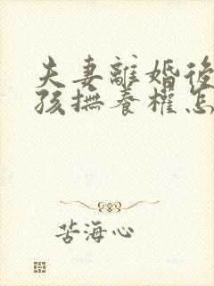 夫妻离婚后两小孩抚养权怎争取