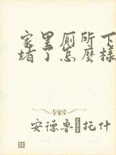 家里厕所下水道堵了怎么样疏通