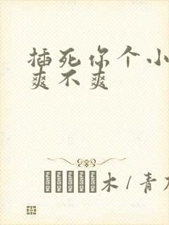 插死你个小骚货爽不爽