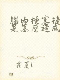 脑内梗塞后遗症是怎么造成的