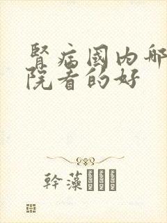 肾病国内哪个医院看的好