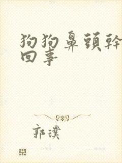 狗狗鼻头干怎么回事